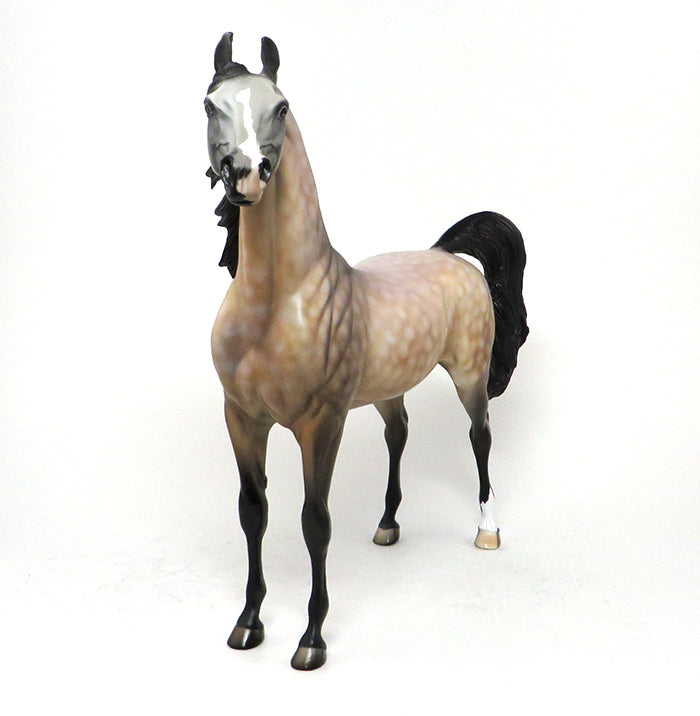 LEGACY - OOAK BUCKSKIN ARABIAN MODEL HORSE - 10/7