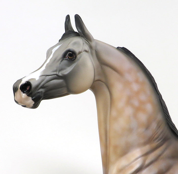 LEGACY - OOAK BUCKSKIN ARABIAN MODEL HORSE - 10/7