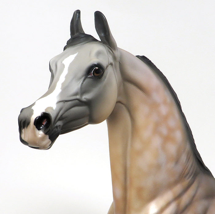 LEGACY - OOAK BUCKSKIN ARABIAN MODEL HORSE - 10/7