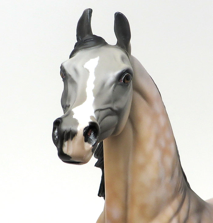 LEGACY - OOAK BUCKSKIN ARABIAN MODEL HORSE - 10/7