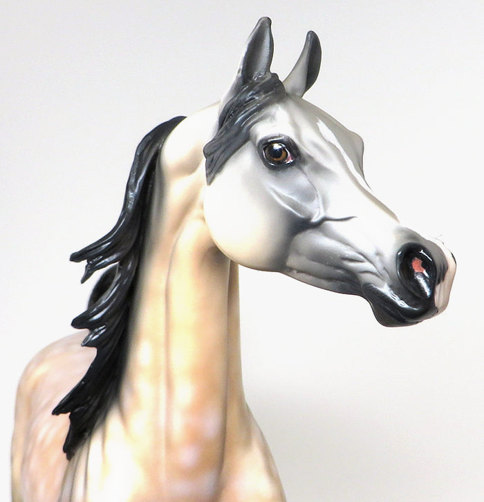 LEGACY - OOAK BUCKSKIN ARABIAN MODEL HORSE - 10/7
