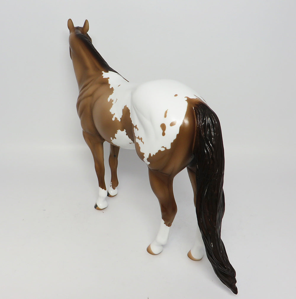 GOLDEN GATE-OOAK CHAMPAGNE ISH APPALOOSA EQ 2017