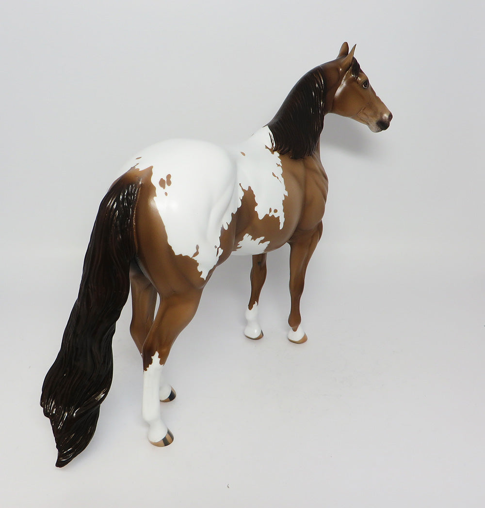 GOLDEN GATE-OOAK CHAMPAGNE ISH APPALOOSA EQ 2017