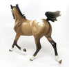 Appaloosa