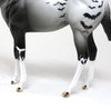 WEANLING MODEL HORSE
