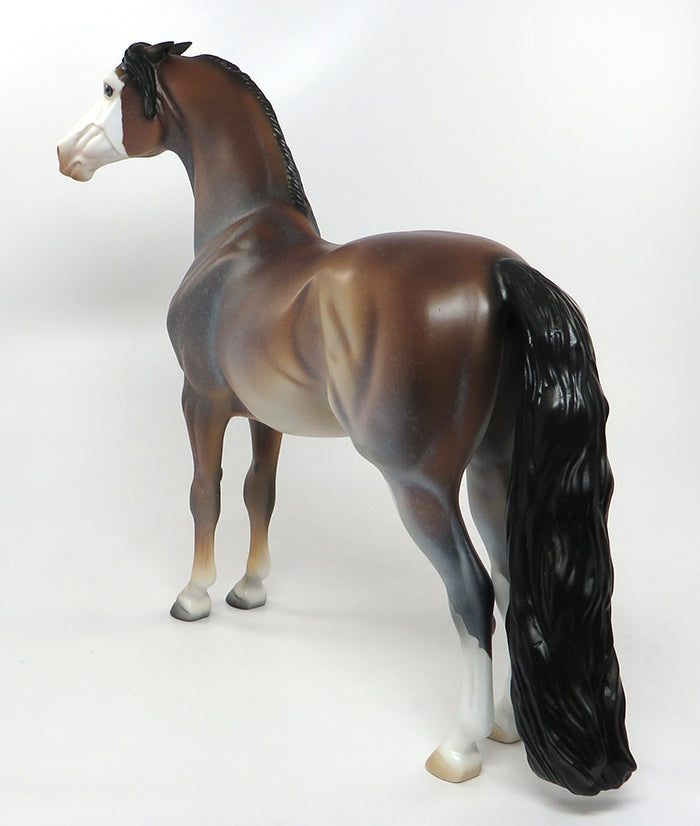 OL BLUE EYES-OOAK BAY SABINO MORGAN HORSE MODEL 8/19