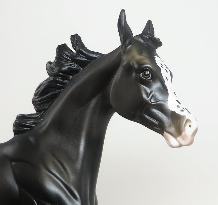OOAK BLACK APPALOOSA