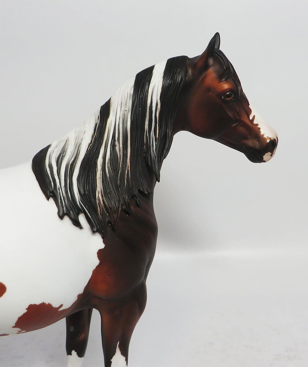 TAKE A CHANCE~OOAK DAPPLE BAY PINTO ISH BY DAWN QUICK 1-26-18