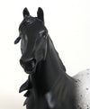 APPALOOSA MORGAN