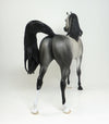 GREY ARABIAN