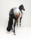 APPALOOSA ISH 