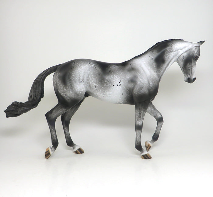 appaloosa black