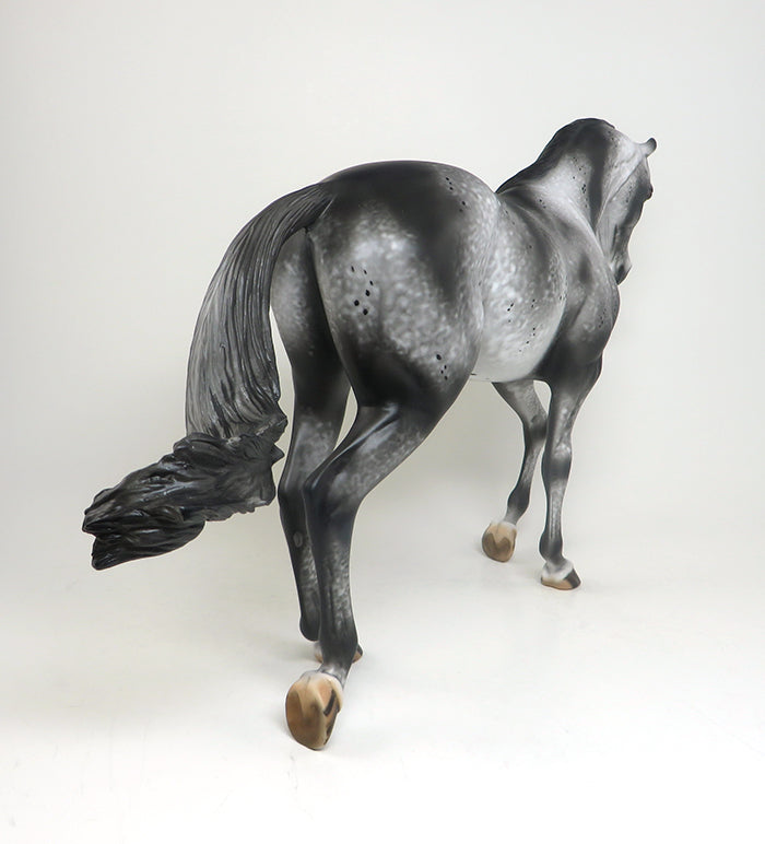 APPALOOSA THOROUGHBRED