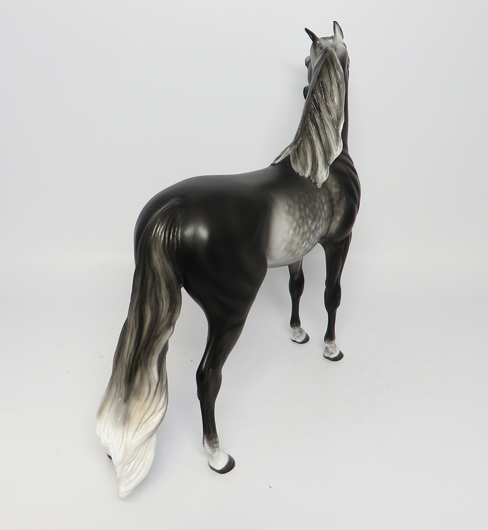 SPACE COWBOY STAR DAPPLE GREY ARABIAN MODEL HORSE PAINTED BY SHERYL LEISURE 6/27/17