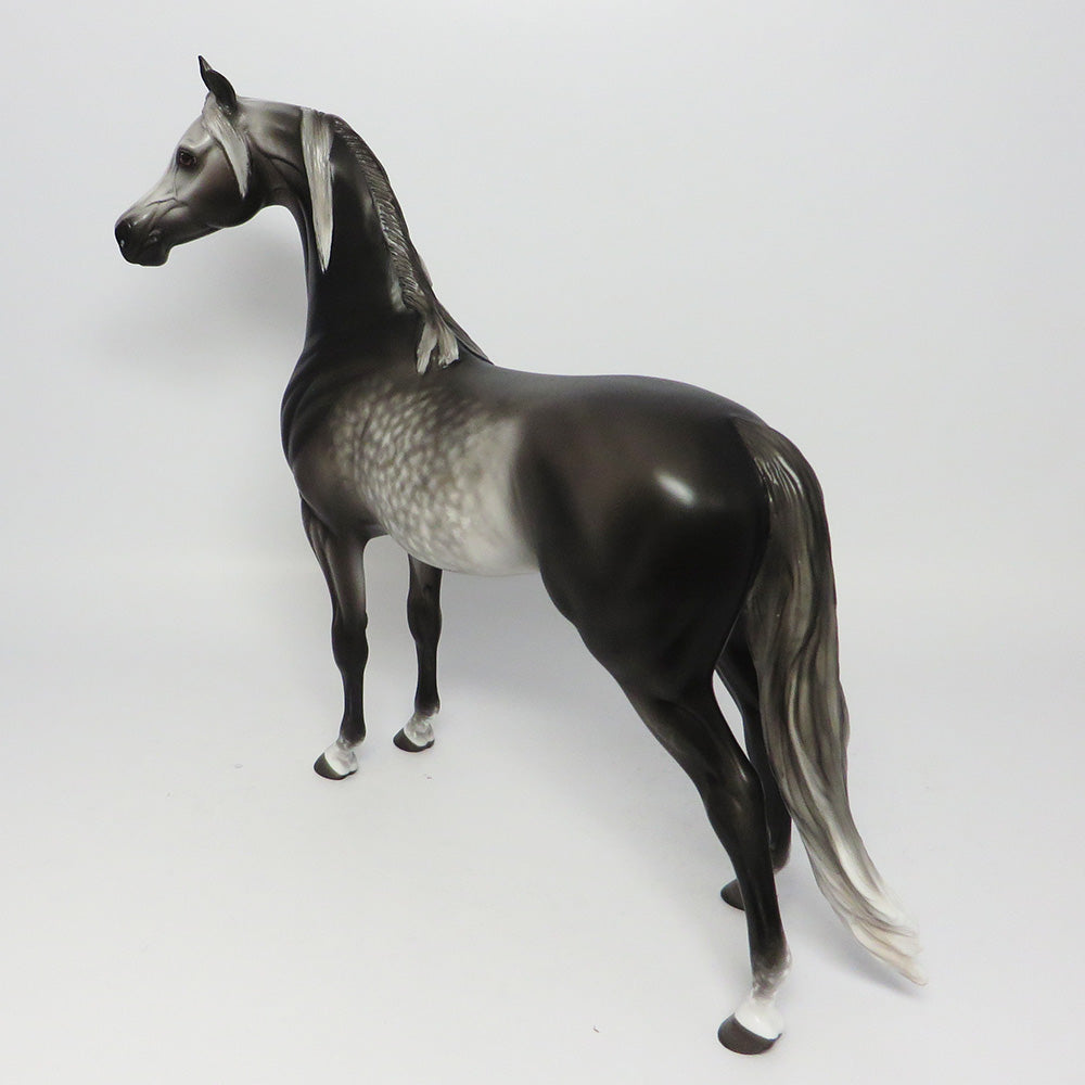 SPACE COWBOY STAR DAPPLE GREY ARABIAN MODEL HORSE PAINTED BY SHERYL LEISURE 6/27/17