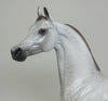GREY ARABIAN HORSE