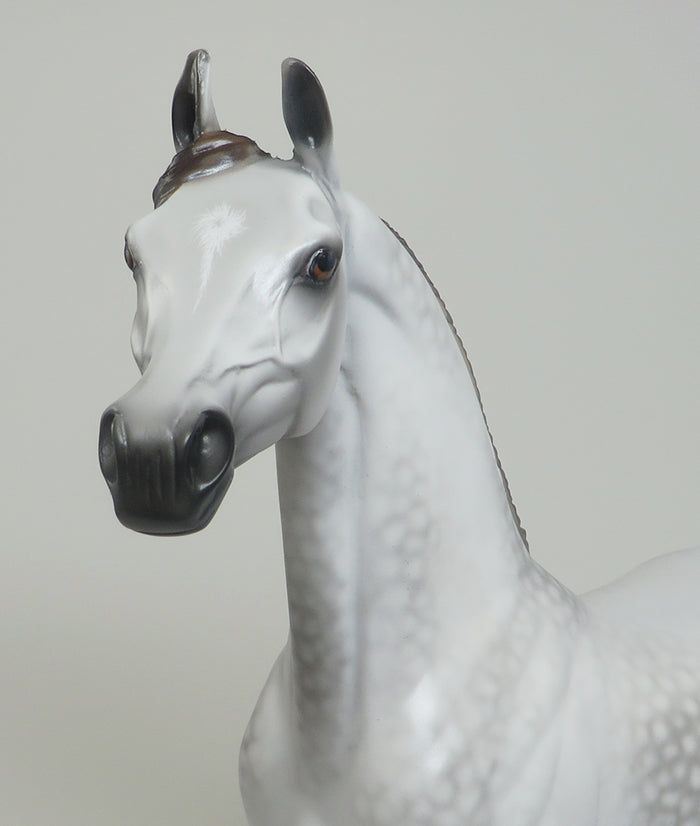 SHERYL LEISURE Arabian