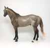 Ideal Stock Horse