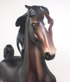 SEAL BAY SADDLEBRED