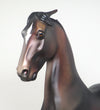 SADDLEBRED