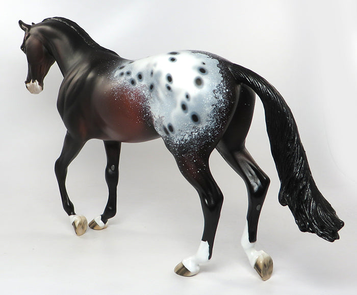 appaloosa