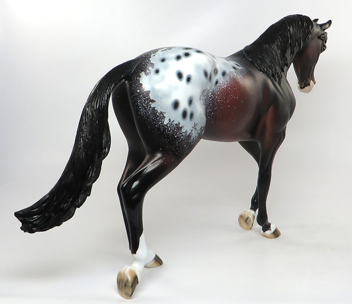 peter stone appaloosa 