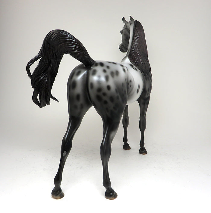 OOAK APPALOOSA
