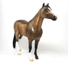 DOZER - OOAK SOOTY BUCKSKIN PAINT SPANISH MUSTANG MODEL HORSE - 11/6