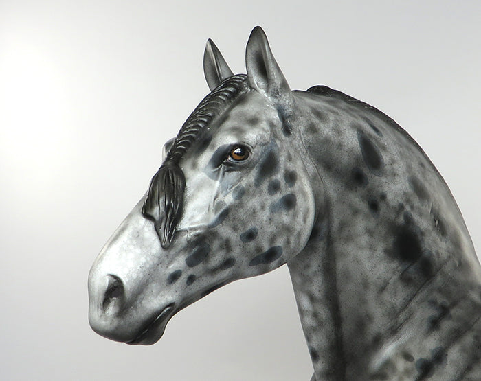 CHICORY-OOAK LOUD APPALOOSA STANDING DRAFTER MODEL HORSE 8/20