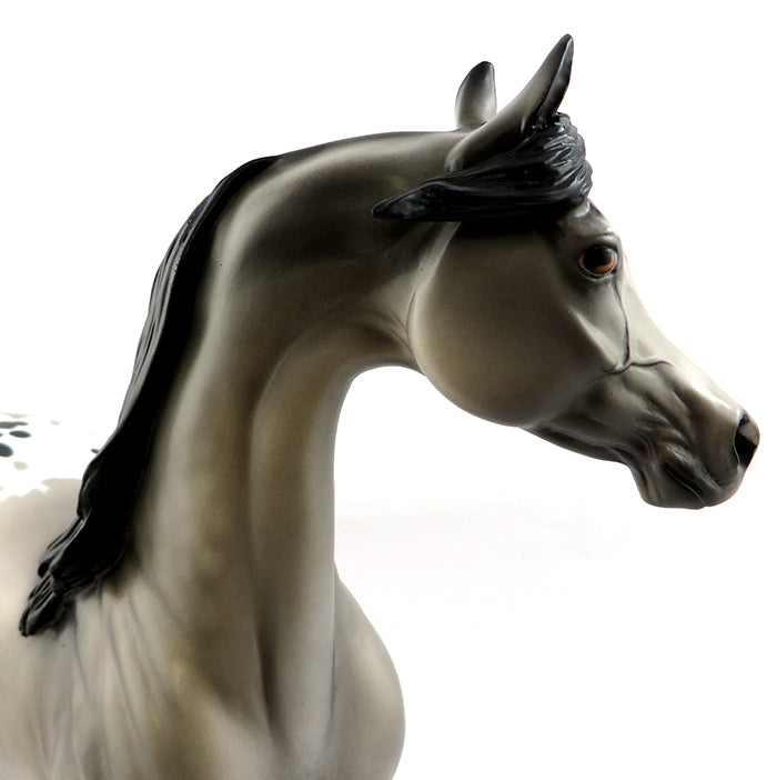 PS SHAMAN-LE-2 DAPPLE GREY ETCHED BLANKET APPALOOSA ARABIAN MODEL HORSE 1/25