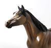 DOZER - OOAK SOOTY BUCKSKIN PAINT SPANISH MUSTANG MODEL HORSE - 11/6