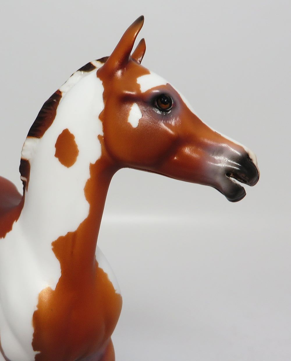 CABRILLO~OOAK BAY PAINT FOAL BY JT MODEL HORSE 6/29