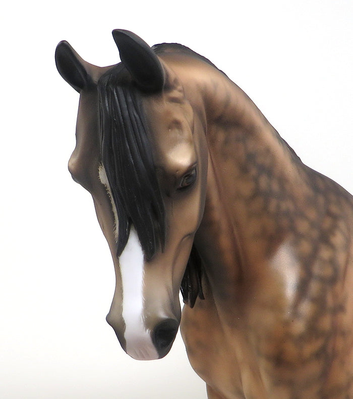 DAPPLE BUCKSKIN THOROUGHBRED