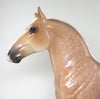 PAINT DRAFTER HORSE