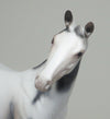 WEANLING 