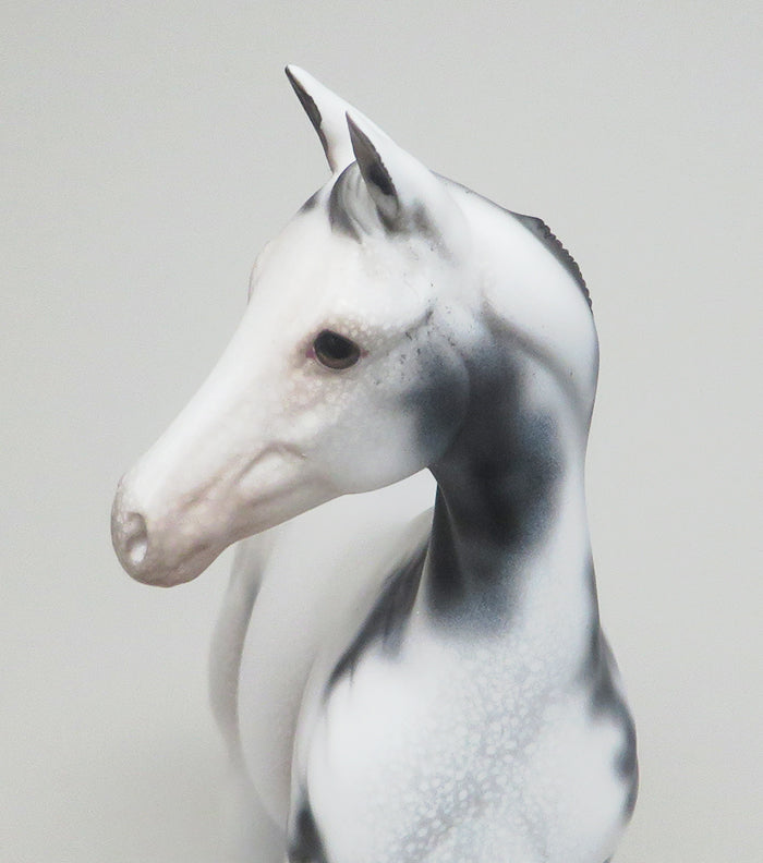 WEANLING MODEL HORSE