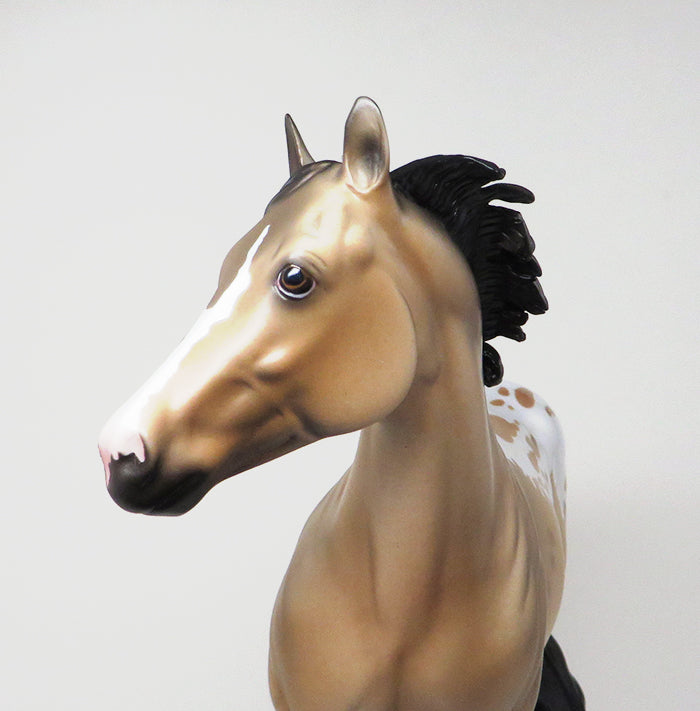 BUCKSKIN APPALOOSA