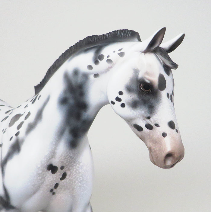 APPALOOSA MODEL HORSE