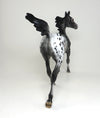 yearling arabian