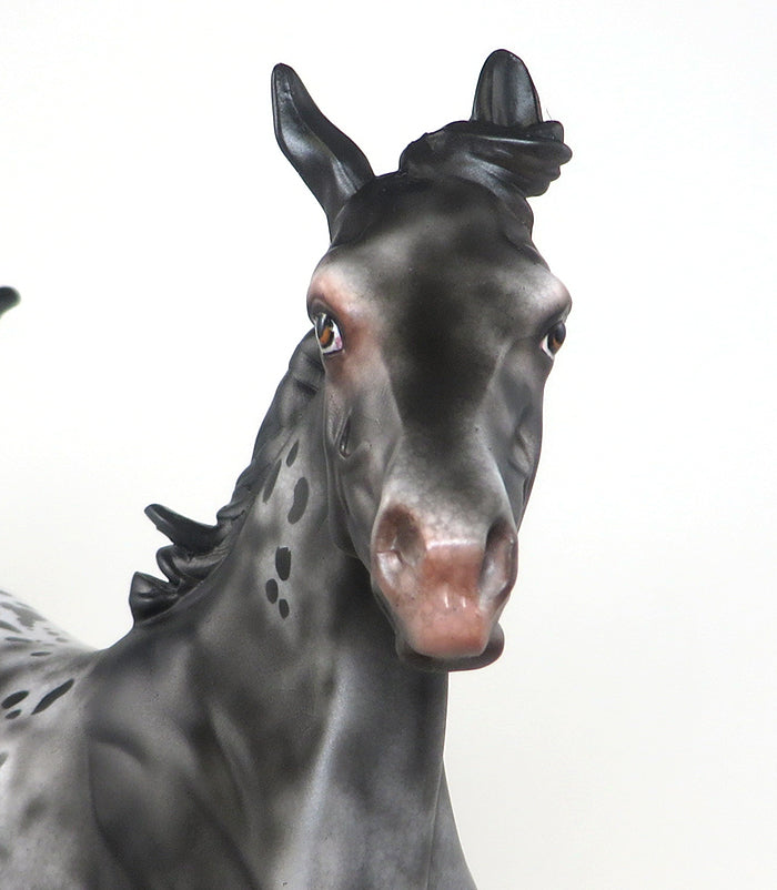 appaloosa model horse 