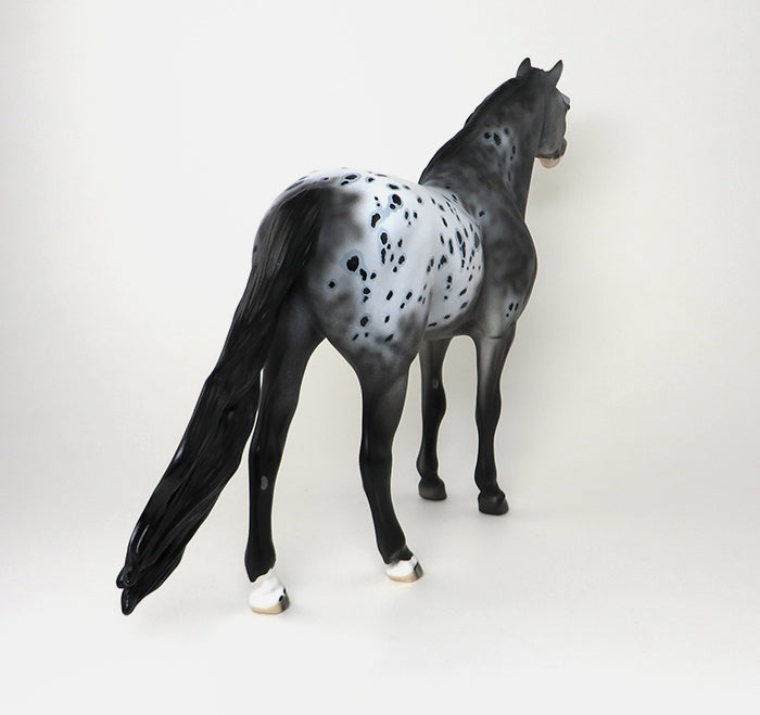 APPALOOSA MUSTANG