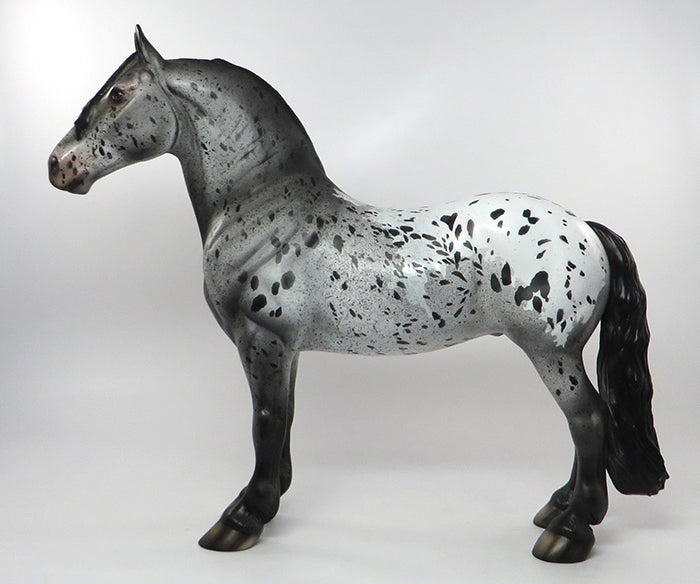 Appaloosa