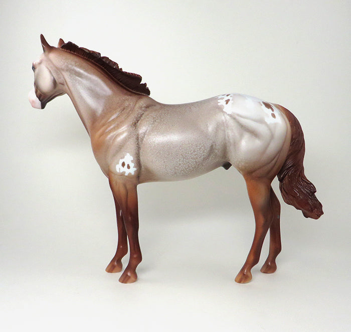 CHESTNUT APPALOOSA ISH