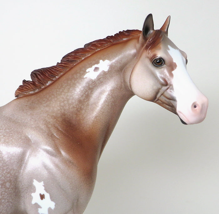 CHESTNUT ISH LIMITED EDITION 