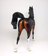 dapple bay arabian
