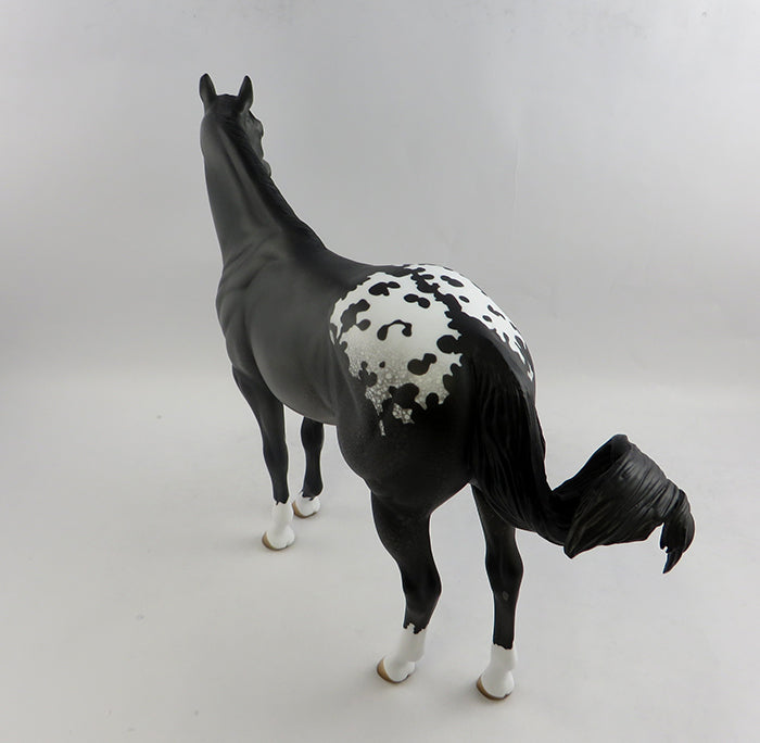 Appaloosa