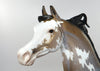 Buckskin