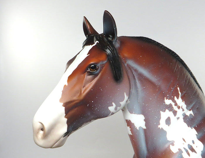 THEON-BAY PINTO SABINO STANDING DRAFTER MODEL HORSE 8/25