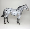 Ideal Stock Horse