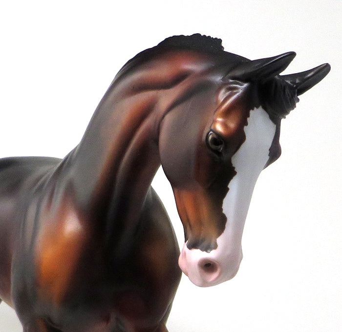 AMERICAN HERO - DAPPLE SEAL BAY PAINT THOROUGHBRED - LE4 - 11/6